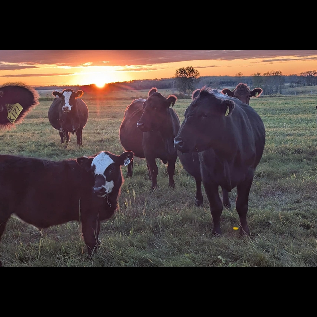 Ferme Chalioka inc.